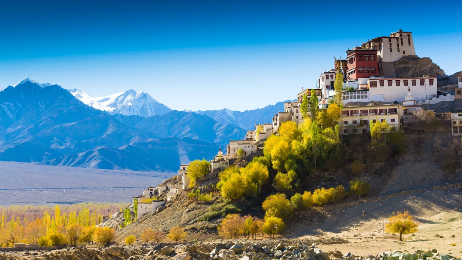 Ladakh: The Land of High Passes